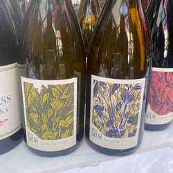 Vinicolo vineria 679513