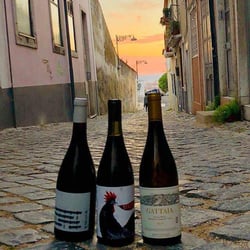 Vino Vero 160466