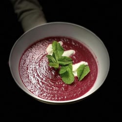 Weisse Rose 625838