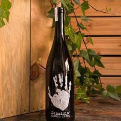 Birreria Volo 322574