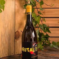 Birreria Volo 322575