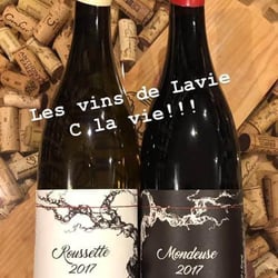 Cave Vino 326249