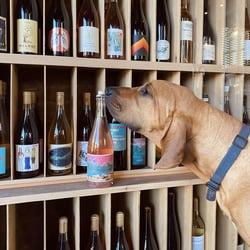 Civic Winery & Wines 341902