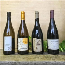Cult of the Vine 3765