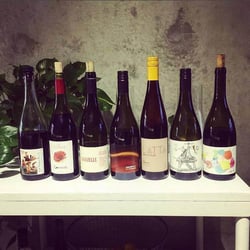Cult of the Vine 3766