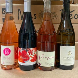 Du Vin et Des Copains 590238