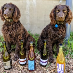 Frankie & Mo’s Wine Shop & Bar 641748