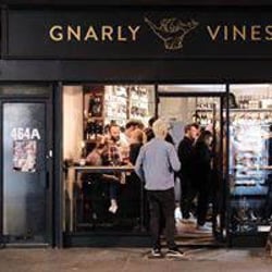 Gnarly Vines 238285
