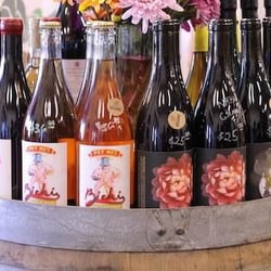 Harvest Wine & Spirits 258597