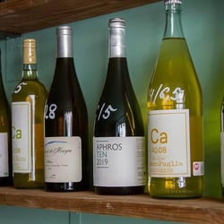 Holy Wine 297814