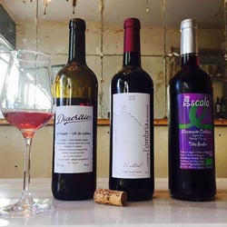 JUGO Vinos Vivos 34851