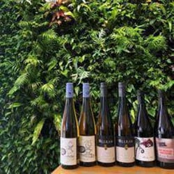 justWINE 582760