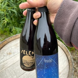 Kauri Brewery 643974