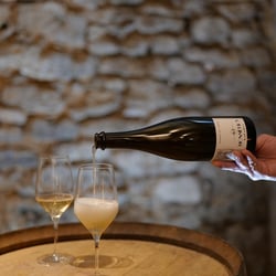 Les Caves Mazuc 779310