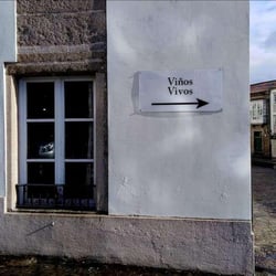 Viños Vivos 594965
