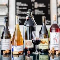LoLo Wine 234872
