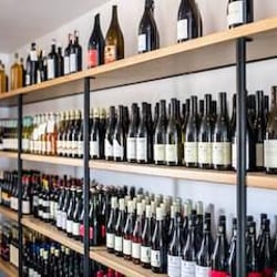 LoLo Wine 234873