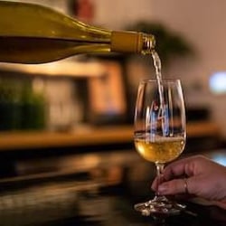 LoLo Wine 234878