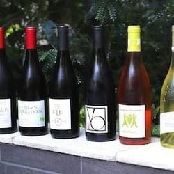 Natural Organic Wines & Fine Spirits 282078