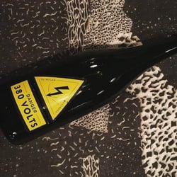 Newcomer Wines 58482