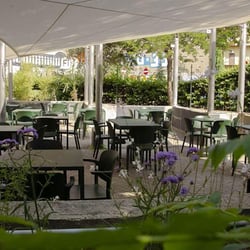 Osteria Democratica 485695