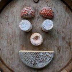 Provisions Wine & Cheese 217562