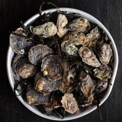 Rouge Oysters 73977