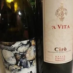 Terra Vino 282472