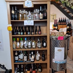 Vineria enorosei 639194