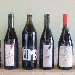 Wines of While 88200