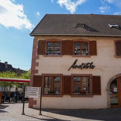 Anatable 779877