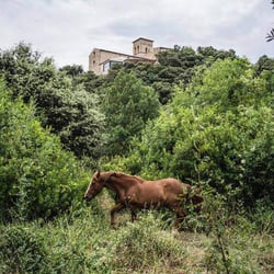 Äponem L’Auberge du Presbytere 84357