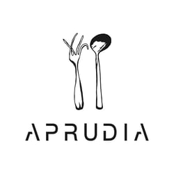 Aprudia 527658