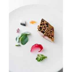 Astrance 12511