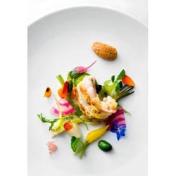 Astrance 12513
