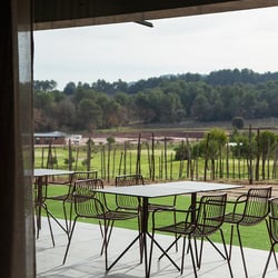 Bages 964 627315