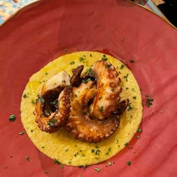 Cantina & Bottega 643339