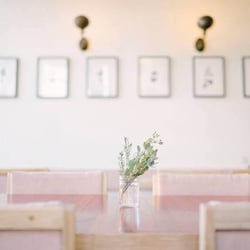 Cellar Door Provisions 197907