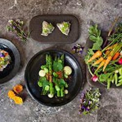 Hogget Kitchen 198402