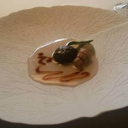 Contesto Alimentare 18929