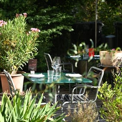 Darling Restaurant 768250