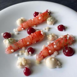 Filia Ristorante 698584