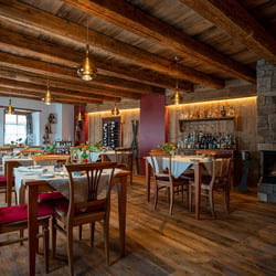 Frosch Restaurant 703845