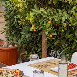 Frumento Acireale 541729