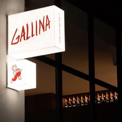 Gallina 708626