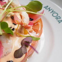 Anyora Bodega 48817