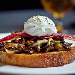 Hen of the Wood - Burlington 1322