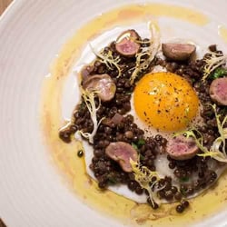 Hen of the Wood - Burlington 1323