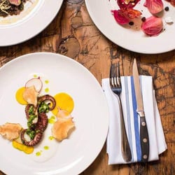 Hen of the Wood - Burlington 1325