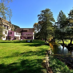 Hotel Restaurant des Vosges 774305